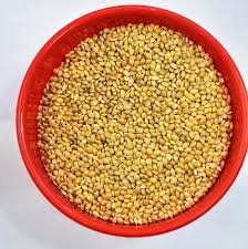 Yellow Millet